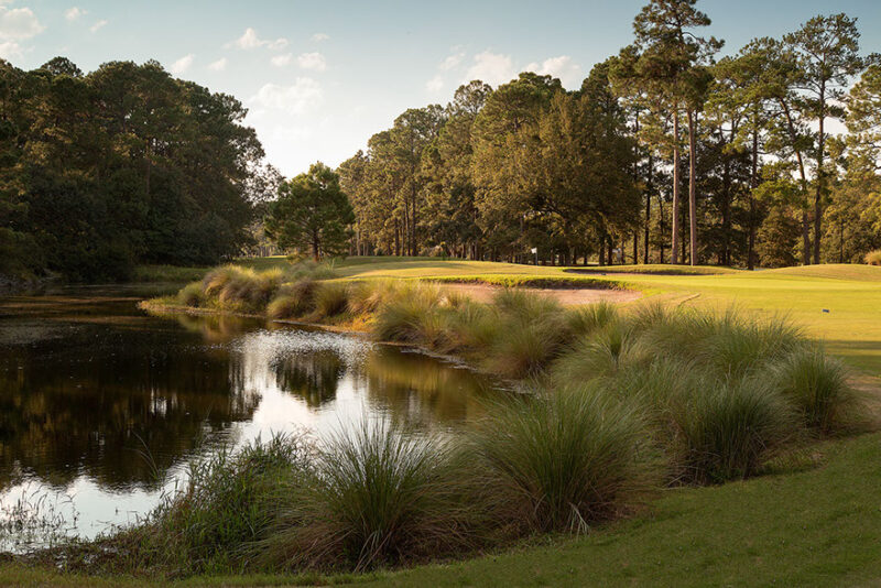 About Rose Hill Golf Club South Carolina, Lowcountry Golf