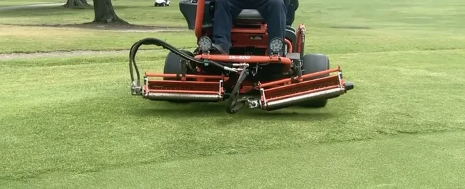Rose Hill Verticutting